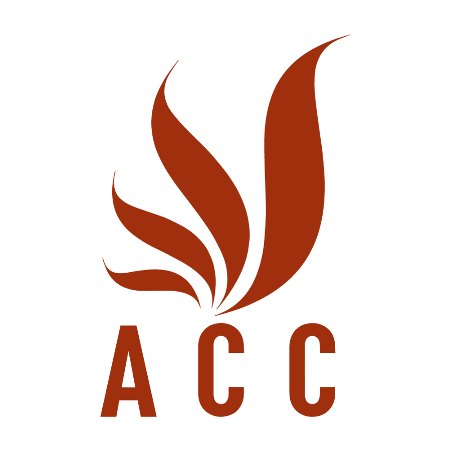 Logo web (8)